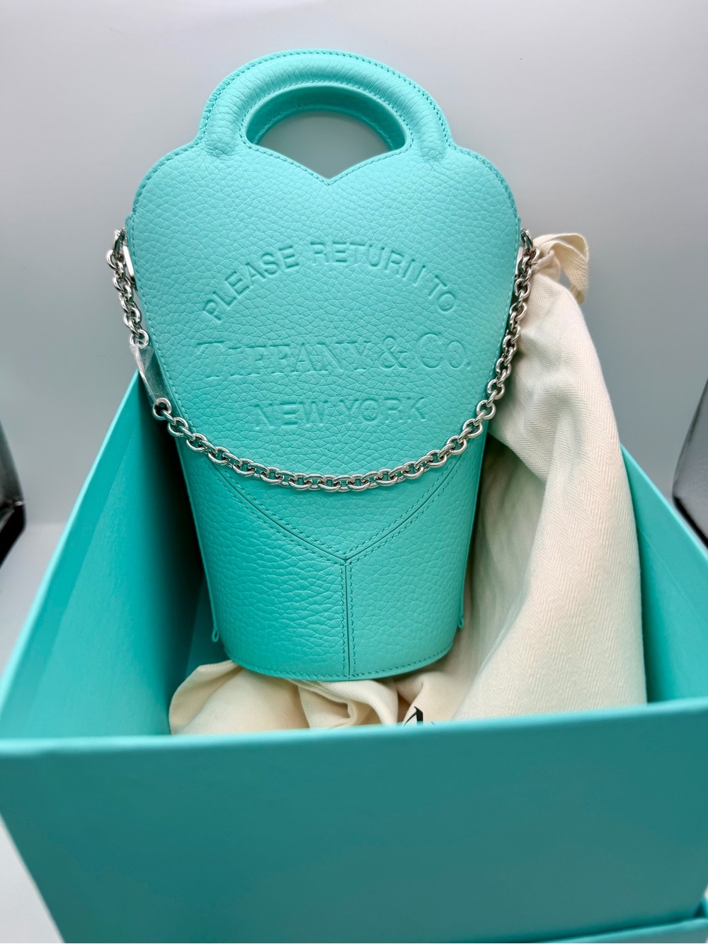 Tiffany & Co New Tiffany blue rtt bucket bag